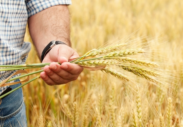 АО WinnerLex виступило радником міжнародного агрохолдингу Agromino під час укладення угоди з придбання 100% акцій агрохолдингу Resilient