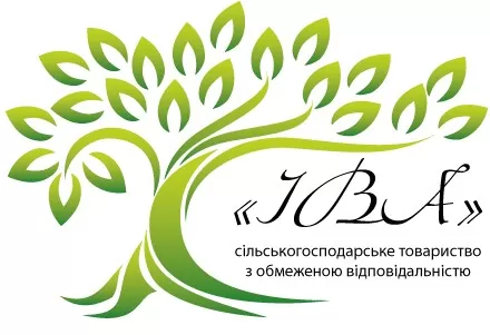 адвокат київ надаємо юридичні послуги адвоката